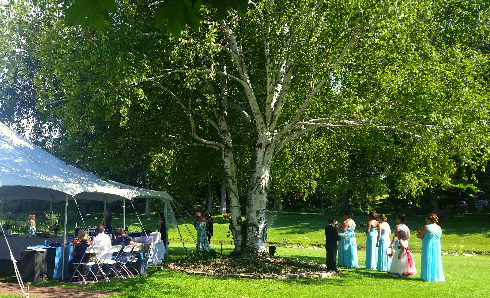 Bridal party meeting under the Birch tree to start their walk to the Ceremony